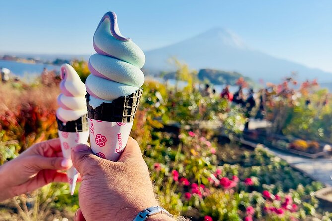 Mt. Fuji & Hakone Cherry Blossom private One Day Tour - Tokyo Station pickup and the comfort factor for a 10-hour day