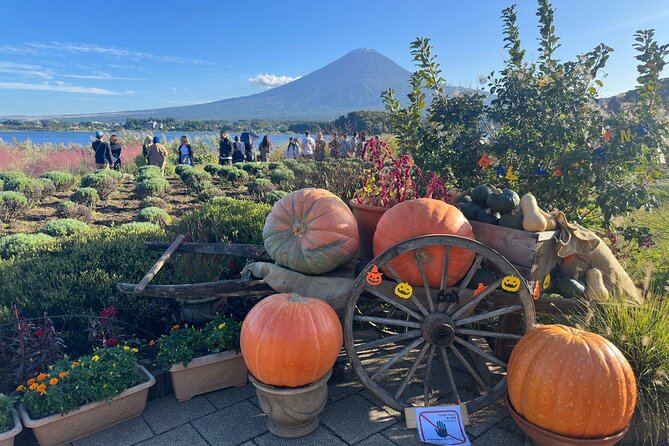 Mt. Fuji & Hakone Cherry Blossom private One Day Tour - Stop 6: Gotemba Premium Outlets as the day’s practical reset