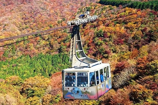Mt Fuji & Hakone Cruise, Drum Show Bullet Train 1 Day from Tokyo - Hakone Ropeway to Mt. Komagatake and the Red Shrine Area