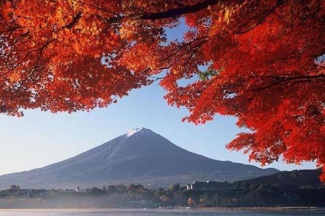 Mt Fuji & Hakone Cruise, Drum Show Bus 1 Day from Tokyo - Lake Ashinoko on the Sorakaze: A Short Cruise With Big Photo Value
