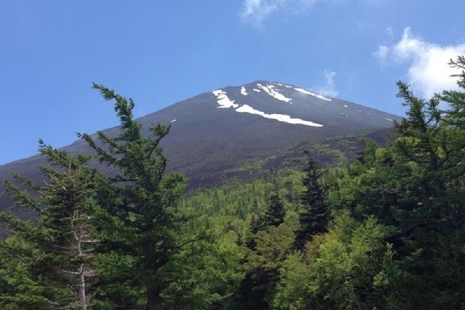 Mt Fuji & Hakone Cruise, Drum Show Bus 1 Day from Tokyo - Hakone Komagatake Ropeway: Getting Higher for Clearer Views