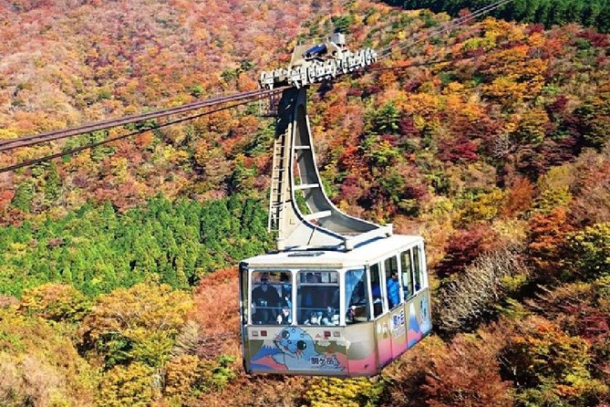 Mt Fuji & Hakone Cruise, Drum Show Bus 1 Day from Tokyo - Price and Value vs DIY Trips