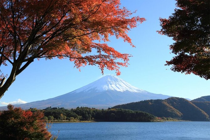Mt Fuji & Hakone Cruise, Drum Show Bus 1 Day from Tokyo Sta. Area - Price and logistics: what $123.36 really buys you