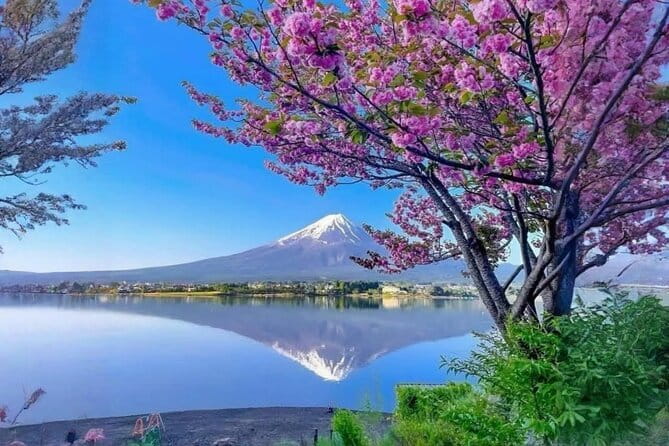 Mt fuji & Hakone customizable day tour w/ English speaking driver - Key things I’d mark on your map