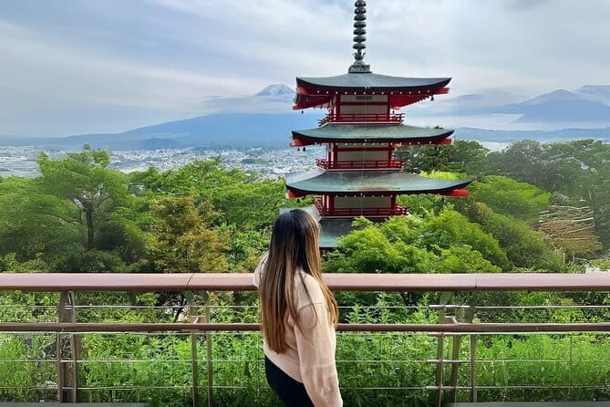 Mt fuji & Hakone customizable day tour w/ English speaking driver - Private driver value: what $530 buys you