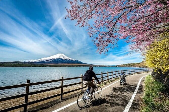Mt fuji & Hakone customizable day tour w/ English speaking driver - Mt. Fuji 5th Station: the highest quick hit, with a toll reality check