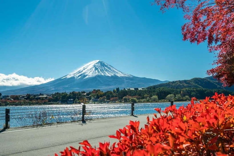 Mt.Fuji Hakone Day Tour With Lake Ashi Cruise, FREE Ropeway - Lake Yamanaka Swan Bay for quiet Fuji photos