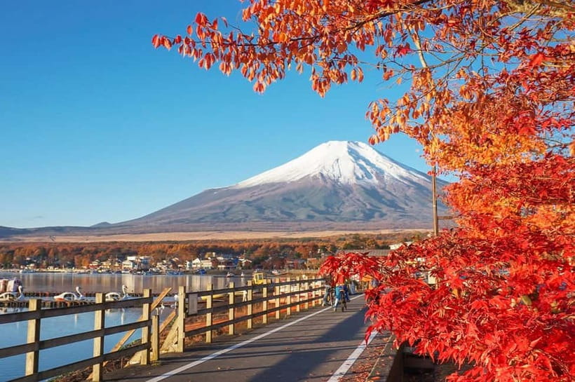 Mt Fuji Hakone/Enoshima Tour:Optional Ropeway/Lake Ashi Boat - Key things that make this day trip work