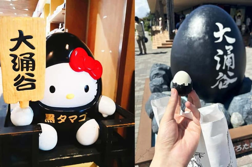 Mt Fuji Hakone/Enoshima Tour:Optional Ropeway/Lake Ashi Boat - Should You Book This Mt. Fuji Hakone Enoshima Day Trip?