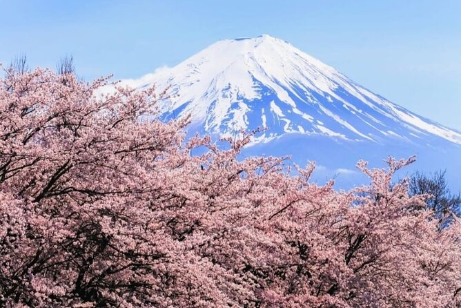 Mt. Fuji, Hakone Full-Day Private Tour with English Driver - The Price ($399 Per Group) and What You Really Get for It