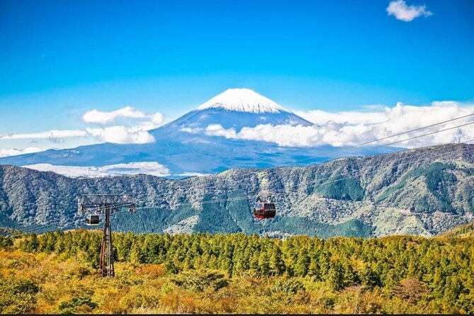 Mt. Fuji, Hakone Full-Day Private Tour with English Driver - Oshino Hakkai and Kitaguchi Hongu Fuji Sengen Jinja: Fuji Water and Shrine Meaning