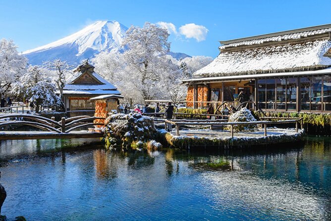 Mt. Fuji, Hakone Full-Day Private Tour with English Driver Guide - Key things to know before you go