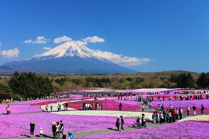 Mt. Fuji, Hakone Full-Day Private Tour with English Driver Guide - Your day’s route in plain English: what each stop feels like
