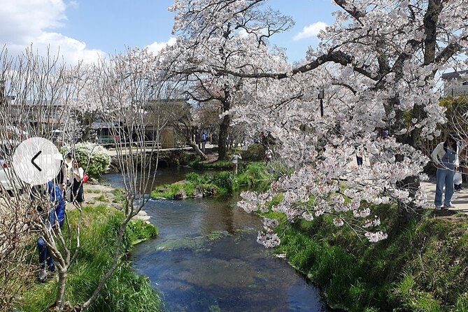 Mt. Fuji, Hakone Full-Day Private Tour with English Driver Guide - Driver-guide quality: the single biggest variable