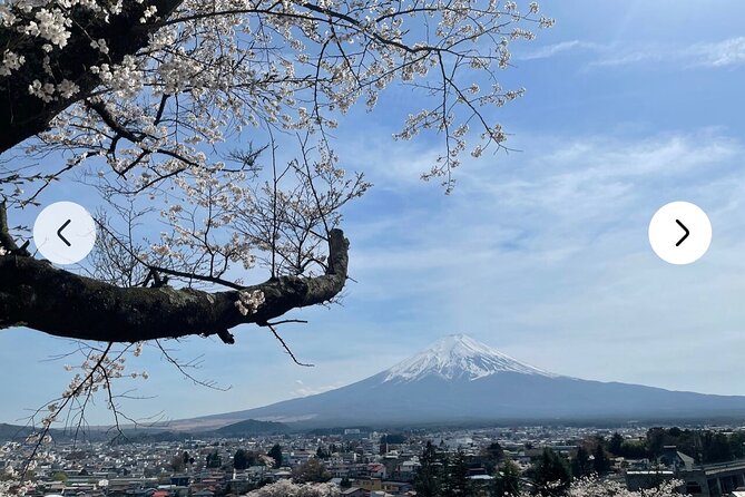 Mt. Fuji, Hakone Full-Day Private Tour with English Driver Guide - Weather is not a footnote, it’s the plot