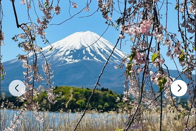 Mt. Fuji, Hakone Full-Day Private Tour with English Driver Guide - Is this tour worth it for your kind of trip?
