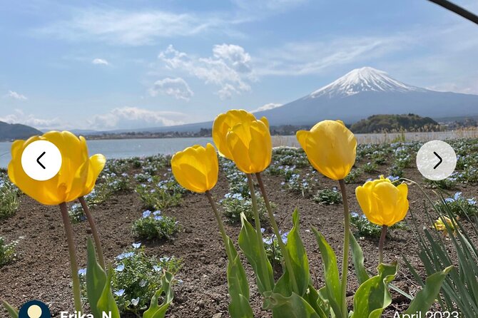 Mt. Fuji, Hakone Full-Day Private Tour with English Driver Guide - Should you book this Mt. Fuji and Hakone private tour?