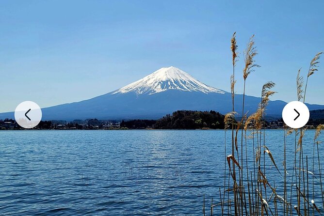 Mt. Fuji, Hakone Full-Day Private Tour with English Driver Guide - FAQ