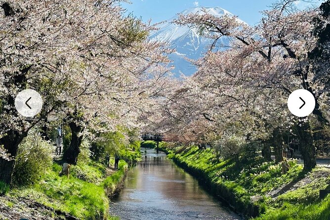 Mt. Fuji, Hakone Full-Day Private Tour with English Driver Guide - Price and logistics: how $495.51 per group can work (or not)