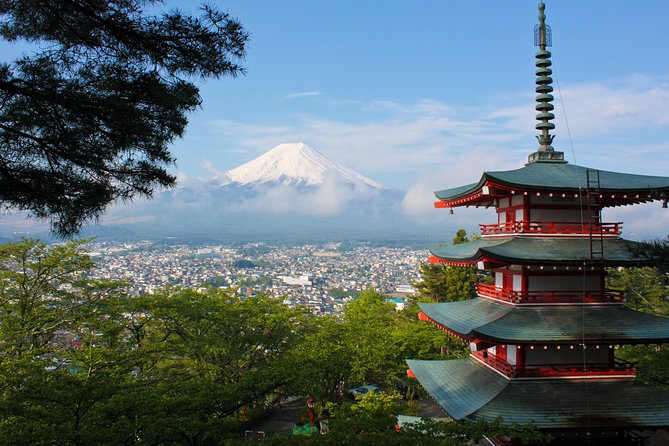 Mt. Fuji & Hakone Private Day Tour with English-Speaking Driver - Mt. Fuji 5th Station: stunning views, plus a summer shuttle reality check