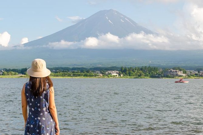 Mt. Fuji & Hakone Private Day Tour with English-Speaking Driver - Hakone Ropeway and Lake Ashi pirate cruise: the classic combo you should not skip