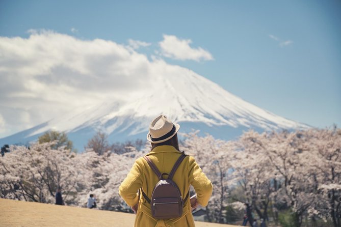Mt. Fuji & Hakone Private Day Tour with English-Speaking Driver - The Mt. Fuji lakes and photo stops: where the best angles happen