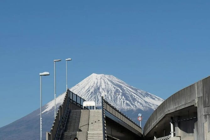 Mt Fuji, Hakone Private Tour by Car Pickup from Tokyo - Hakone Ropeway, riding the Round Course at a comfortable pace