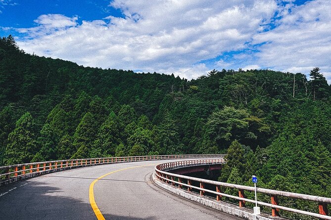 Mt. Fuji, Hakone Private Tour from Tokyo - Onsen, Arts and Nature - Onsen Time: The Relaxation Anchor of the Day
