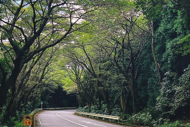Mt. Fuji, Hakone Private Tour from Tokyo - Onsen, Arts and Nature - Hakone Open-Air Museum vs Pola Museum of Art: Rain-Proof Culture