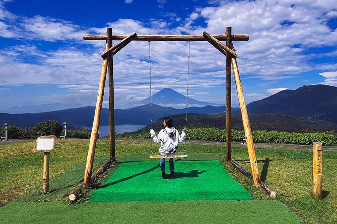 Mt. Fuji, Hakone Private Tour from Tokyo - Onsen, Arts and Nature - Lake Ashinoko Sky Line: One Last Look Before You Head Back