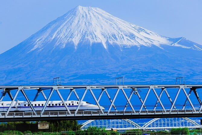 Mt Fuji & Hakone Private Tour from Tokyo: Return by Bullet Train - Key highlights at a glance