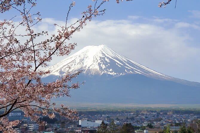 Mt Fuji & Hakone Private Tour from Tokyo: Return by Bullet Train - Chureito Pagoda: The Fuji View That Sets the Tone