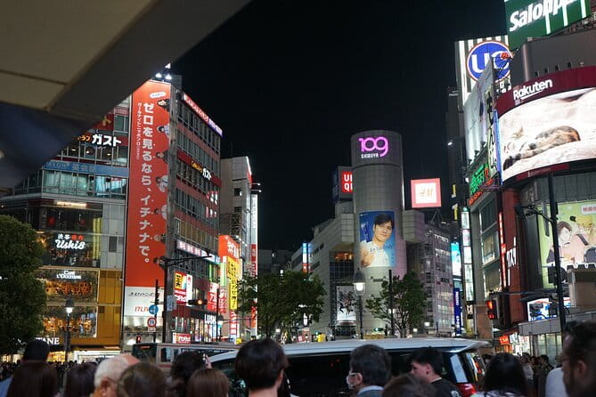Mt Fuji & Hakone Private Tour from Tokyo: Return by Bullet Train - The Tokyo Return: Odawara Station and Shinkansen Help