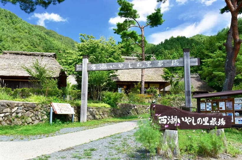 Mt. Fuji Heritage Tour: Traditional Villages, Lakes & Shrine - Key highlights worth the $50