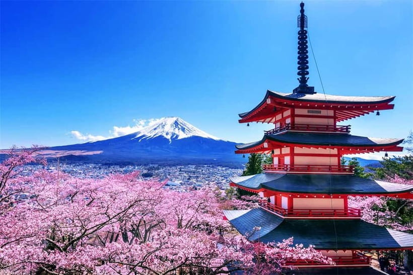 Mt. Fuji Heritage Tour: Traditional Villages, Lakes & Shrine - The restaurant break, and how to handle food without messing up your day