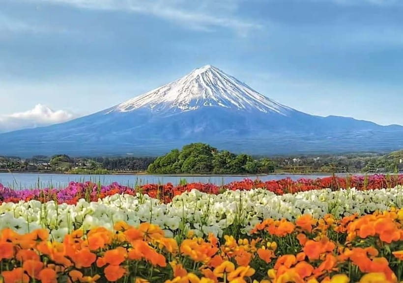Mt. Fuji Heritage Tour: Traditional Villages, Lakes & Shrine - Price and value at $50, what’s included and what you must budget