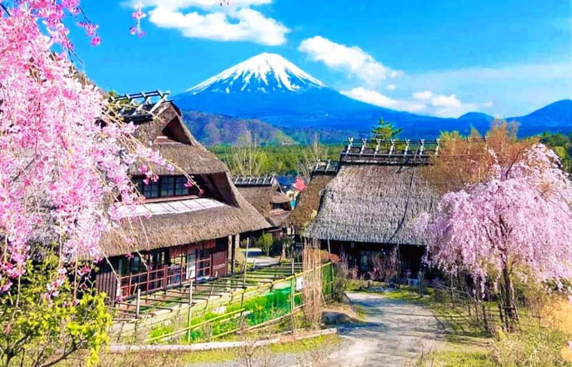 Mt. Fuji Heritage Tour: Traditional Villages, Lakes & Shrine - Saiko Iyashi no Sato Nenba, thatched houses and Fuji backdrops