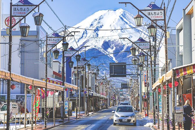 Mt. Fuji Highlight Photo Spots One Day Tour from Tokyo - Key things to know before you go