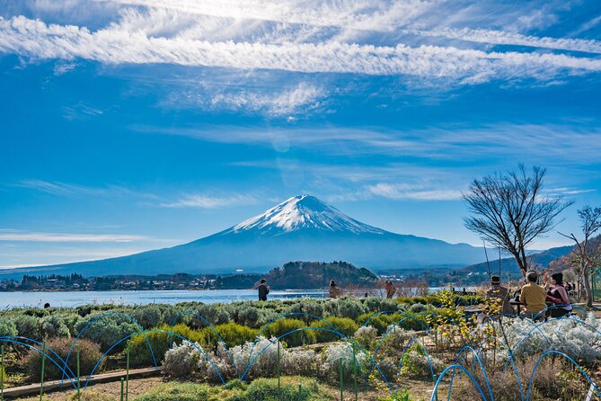 Mt. Fuji Highlight Photo Spots One Day Tour from Tokyo - The Lawson Foreground Photo Moment: A Silly-Looking Stop That Works