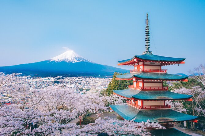 Mt. Fuji Highlight Photo Spots One Day Tour from Tokyo - Oishi Park: Flowers Versus Fuji, and How to Photograph Both
