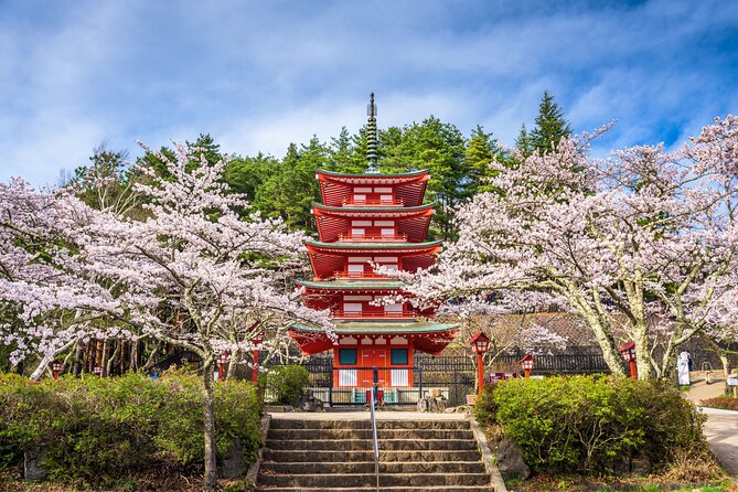 Mt. Fuji Highlight Photo Spots One Day Tour from Tokyo - Shiraito Waterfall: When You Need Texture, Not Just Views