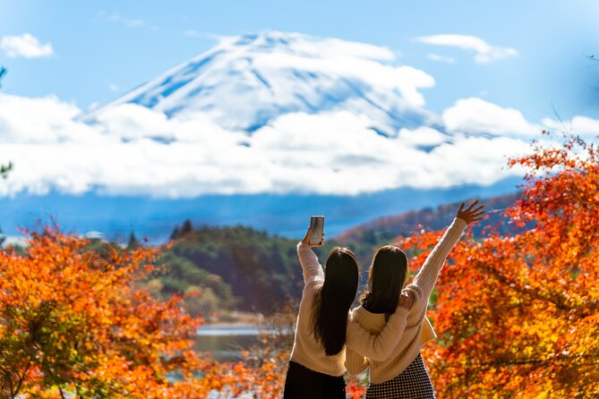 Mt. Fuji Highlight Photo Spots One Day Tour from Tokyo - The Nostalgic Honcho Street Stop: Quick Fuji Framing in Town