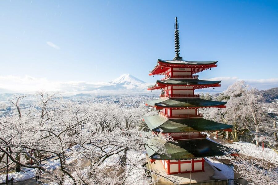 MT.Fuji: Mount Fuji Private day Tour With Guide - Arakura Fuji Sengen Shrine and Chureito Pagoda for the classic view