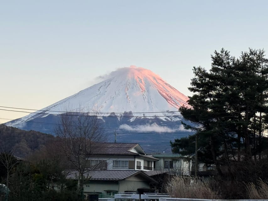 MT.Fuji: Mount Fuji Private day Tour With Guide - Kitaguchi-hongu Fuji Sengen Shrine, giant torii, and cedar canopy