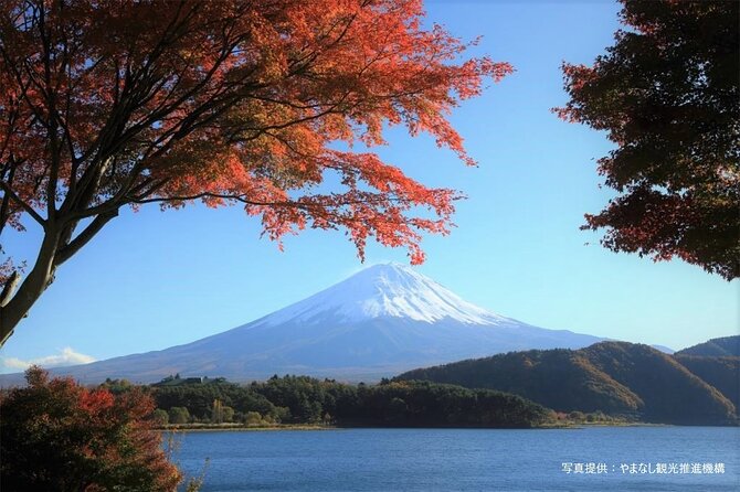 Mt. Fuji, Oishi Park & Arakurayama Pagoda Bus Tour with Lunch - The value of the price tag: what you actually get