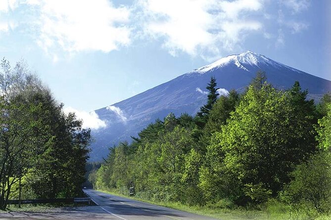 Mt. Fuji, Oishi Park & Arakurayama Pagoda Bus Tour with Lunch - Oishi Park: quick time, iconic Fuji and lake framing