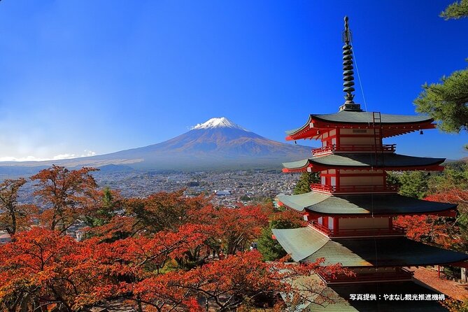 Mt. Fuji, Oishi Park & Arakurayama Pagoda Bus Tour with Lunch - Mt. Fuji 5th Station: your first real altitude test