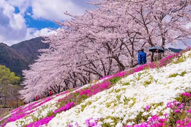 Mt. Fuji Panoramic Ropeway, 5th Station, And Oshino Hakkai Tour - Shinjuku meeting point and timing that you should take seriously