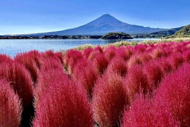 Mt. Fuji Panoramic Ropeway, 5th Station, And Oshino Hakkai Tour - Language, guide style, and what to expect from a small group