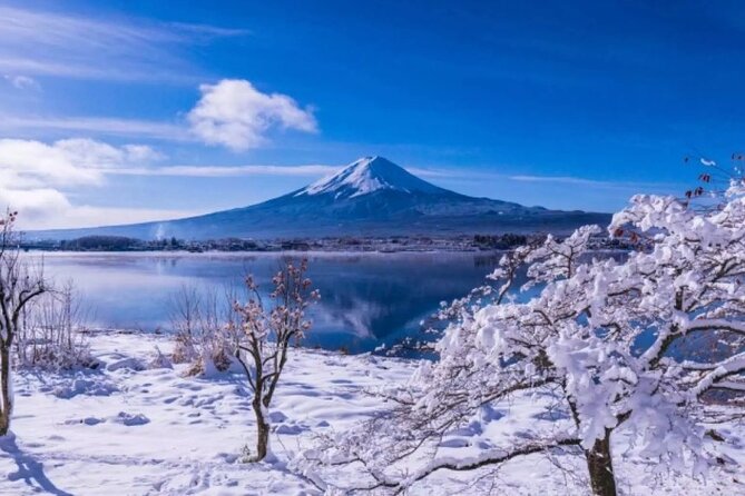 Mt. Fuji Panoramic Ropeway, 5th Station, And Oshino Hakkai Tour - Oishi Park: a calm hour with big Fuji framing